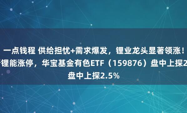 一点钱程 供给担忧+需求爆发，锂业龙头显著领涨！盛新锂能涨停，华宝基金有色ETF（159876）盘中上探2.5%